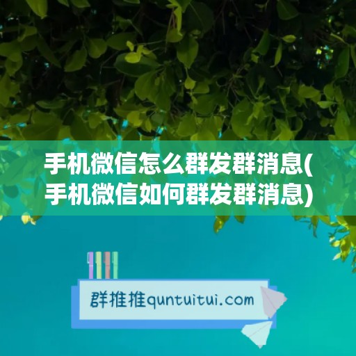 手机微信怎么群发群消息(手机微信如何群发群消息)