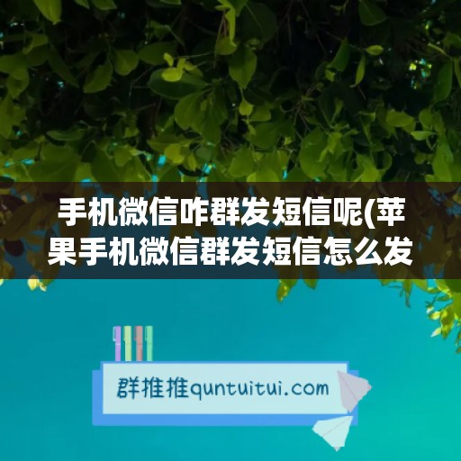 手机微信咋群发短信呢(苹果手机微信群发短信怎么发送)