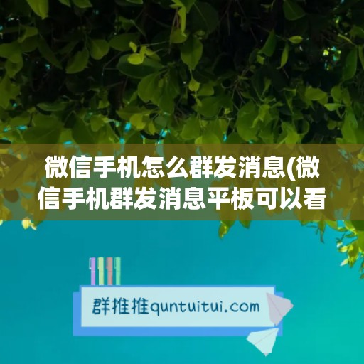 微信手机怎么群发消息(微信手机群发消息平板可以看得到吗)