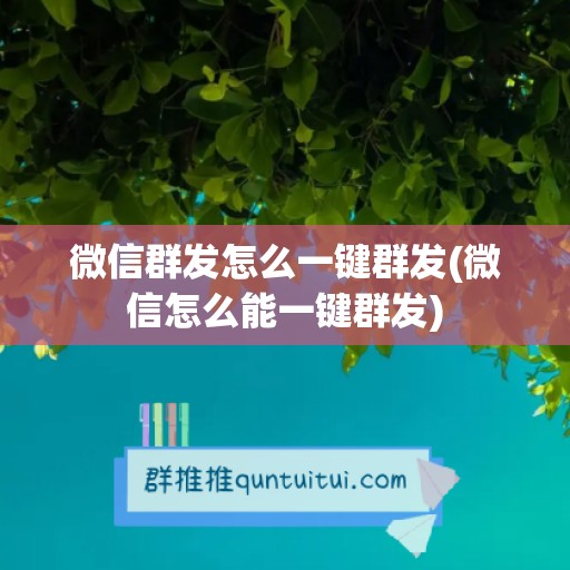 微信群发怎么一键群发(微信怎么能一键群发)