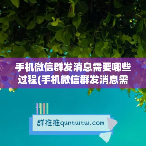 手机微信群发消息需要哪些过程(手机微信群发消息需要哪些过程呢)