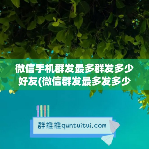 微信手机群发最多群发多少好友(微信群发最多发多少个好友)