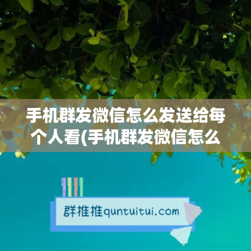 手机群发微信怎么发送给每个人看(手机群发微信怎么发送给每个人看信息)