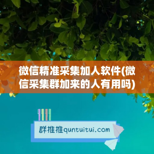 微信精准采集加人软件(微信采集群加来的人有用吗)