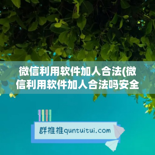 微信利用软件加人合法(微信利用软件加人合法吗安全吗)