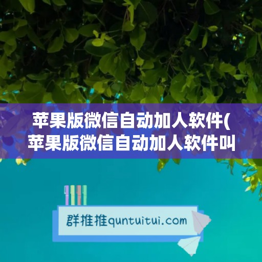 苹果版微信自动加人软件(苹果版微信自动加人软件叫什么)