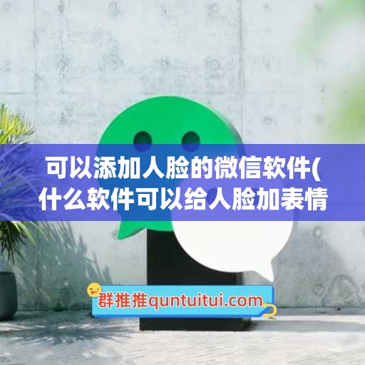 可以添加人脸的微信软件(什么软件可以给人脸加表情包)