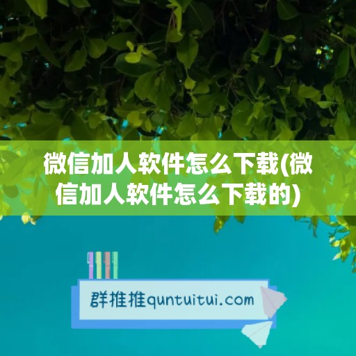 微信加人软件怎么下载(微信加人软件怎么下载的)