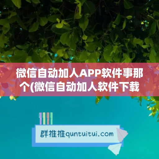 微信自动加人APP软件事那个(微信自动加人软件下载)