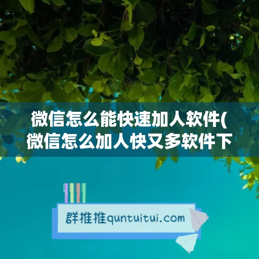 微信怎么能快速加人软件(微信怎么加人快又多软件下载)