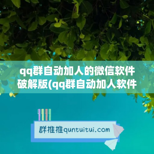 qq群自动加人的微信软件破解版(qq群自动加人软件下载)