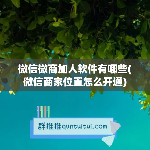 微信微商加人软件有哪些(微信商家位置怎么开通)