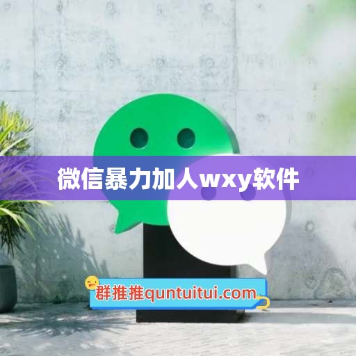 微信暴力加人wxy软件