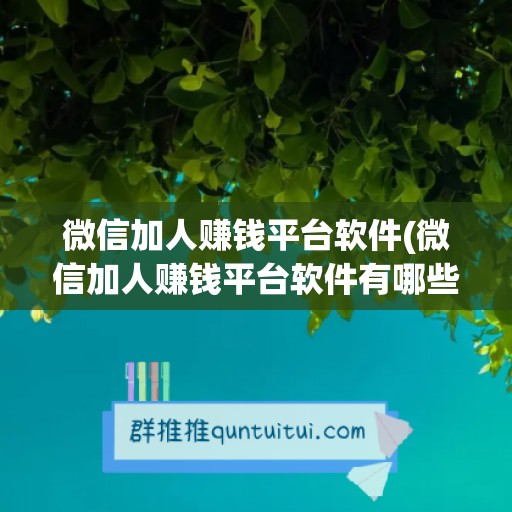 微信加人赚钱平台软件(微信加人赚钱平台软件有哪些)