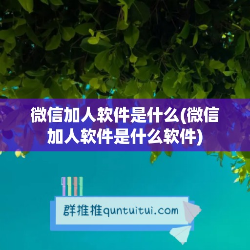 微信加人软件是什么(微信加人软件是什么软件)