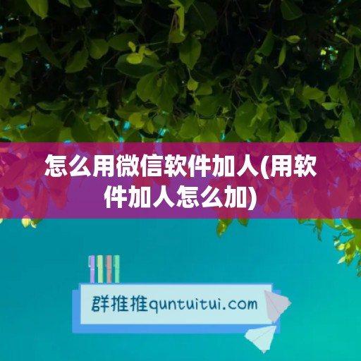 怎么用微信软件加人(用软件加人怎么加)