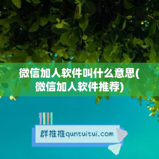 微信加人软件叫什么意思(微信加人软件推荐)