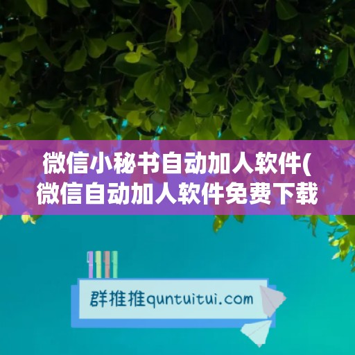 微信小秘书自动加人软件(微信自动加人软件免费下载)