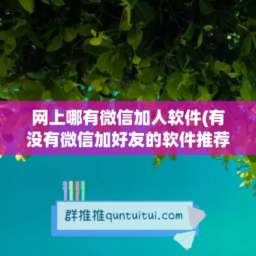 网上哪有微信加人软件(有没有微信加好友的软件推荐)