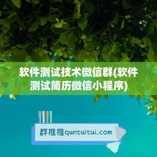 软件测试技术微信群(软件测试简历微信小程序)