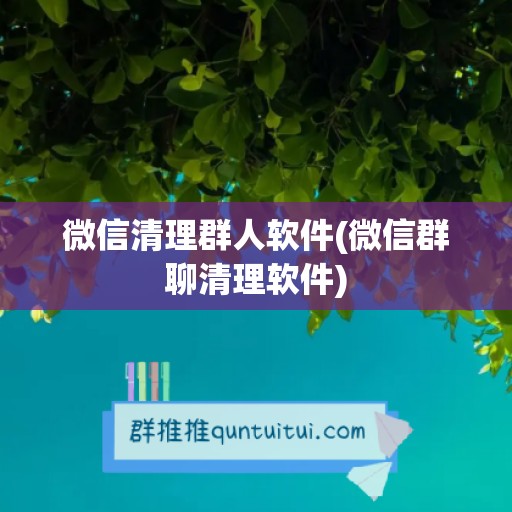 微信清理群人软件(微信群聊清理软件)