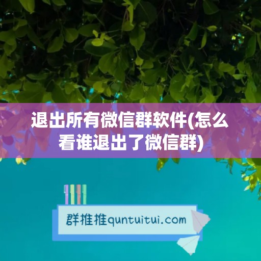 退出所有微信群软件(怎么看谁退出了微信群)