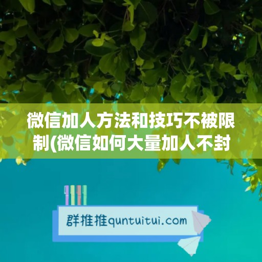 微信加人方法和技巧不被限制(微信如何大量加人不封号)