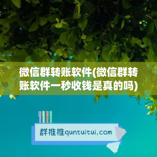 微信群转账软件(微信群转账软件一秒收钱是真的吗)