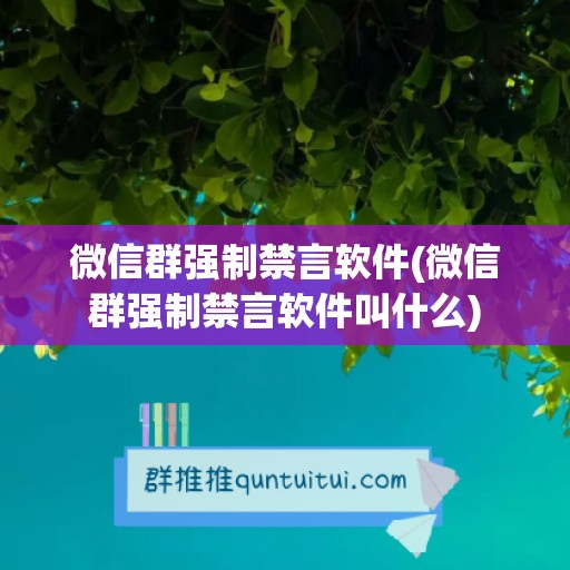 微信群强制禁言软件(微信群强制禁言软件叫什么)