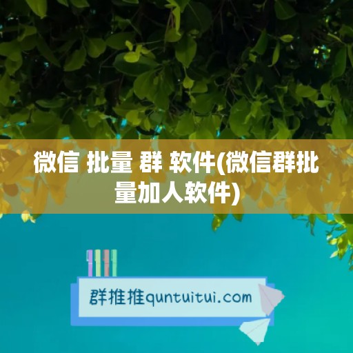 微信 批量 群 软件(微信群批量加人软件)