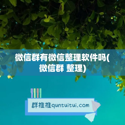 微信群有微信整理软件吗(微信群 整理)