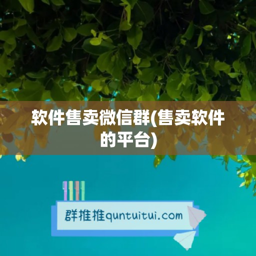 软件售卖微信群(售卖软件的平台)