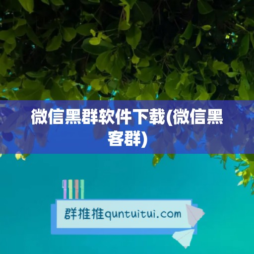 微信黑群软件下载(微信黑客群)