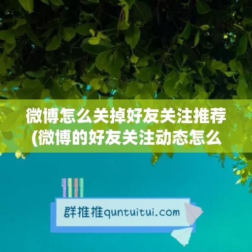 微博怎么关掉好友关注推荐(微博的好友关注动态怎么关掉)