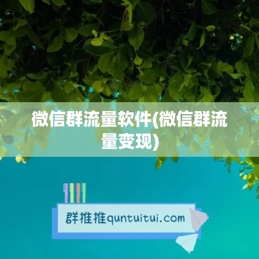 微信群流量软件(微信群流量变现)