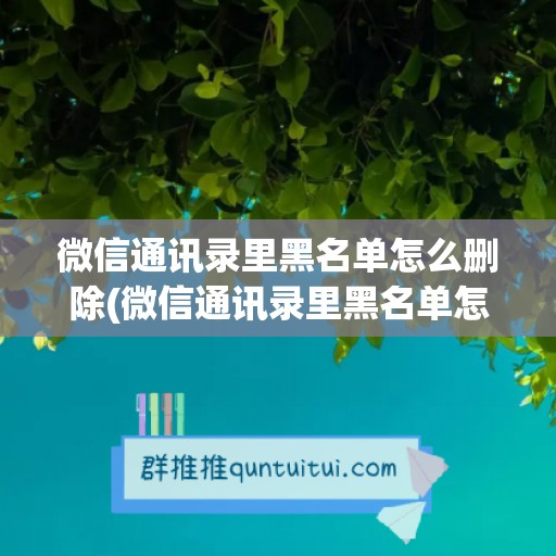 微信通讯录里黑名单怎么删除(微信通讯录里黑名单怎么删除掉)