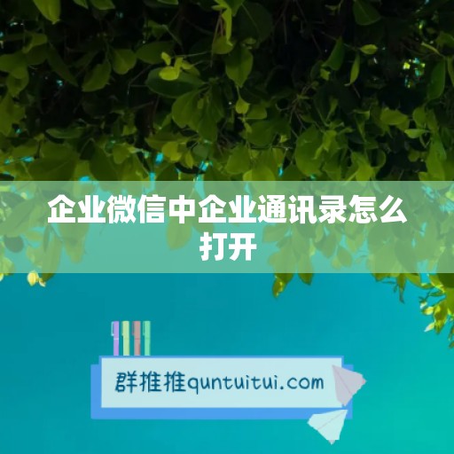 企业微信中企业通讯录怎么打开