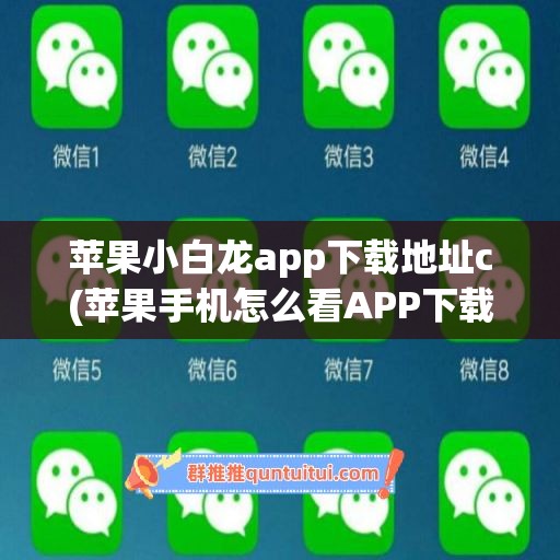 苹果小白龙app下载地址c(苹果手机怎么看APP下载地址)