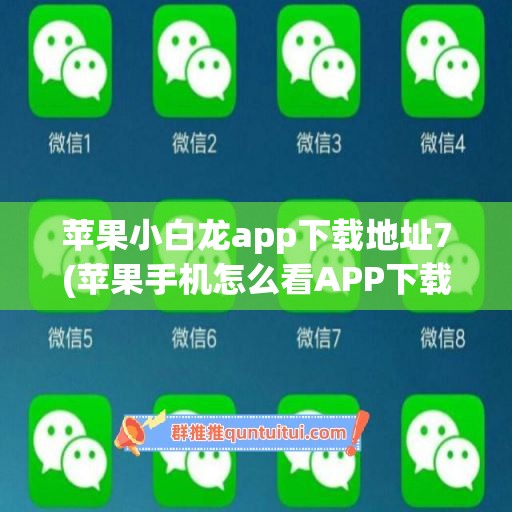 苹果小白龙app下载地址7(苹果手机怎么看APP下载地址)