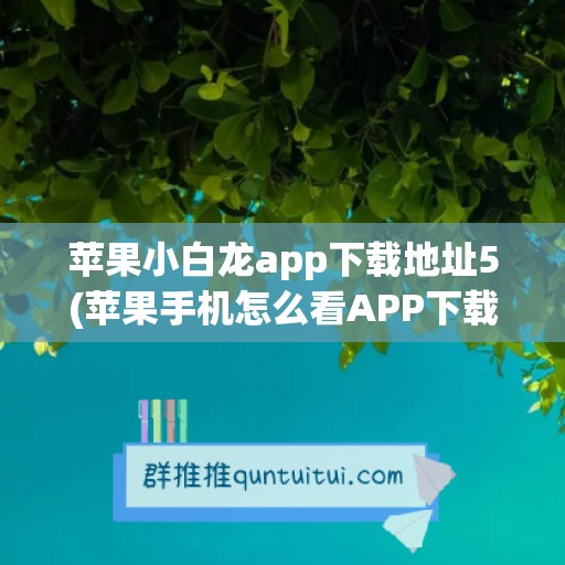 苹果小白龙app下载地址5(苹果手机怎么看APP下载地址)