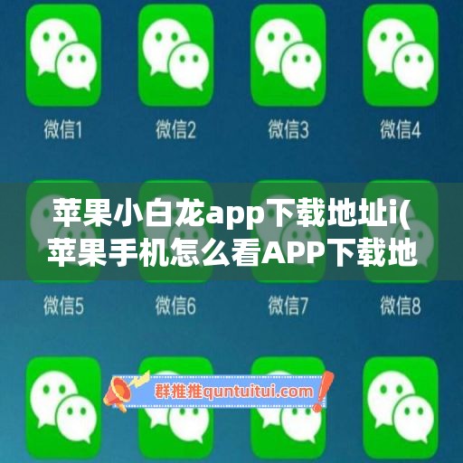 苹果小白龙app下载地址i(苹果手机怎么看APP下载地址)