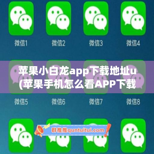 苹果小白龙app下载地址u(苹果手机怎么看APP下载地址)