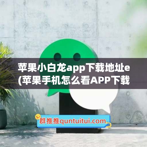 苹果小白龙app下载地址e(苹果手机怎么看APP下载地址)