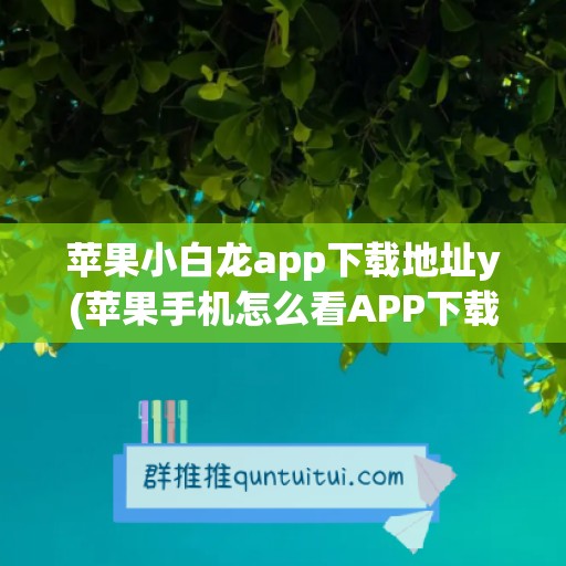 苹果小白龙app下载地址y(苹果手机怎么看APP下载地址)