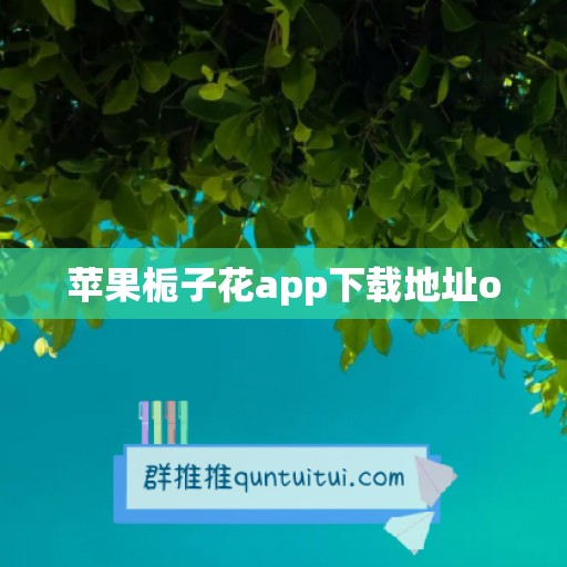 苹果栀子花app下载地址o