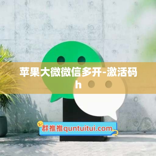 苹果大微微信多开-激活码h