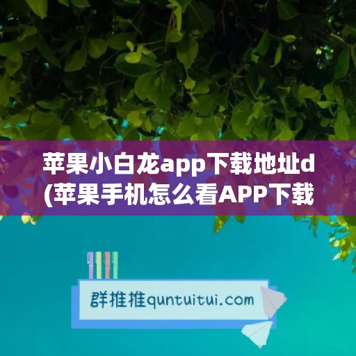 苹果小白龙app下载地址d(苹果手机怎么看APP下载地址)