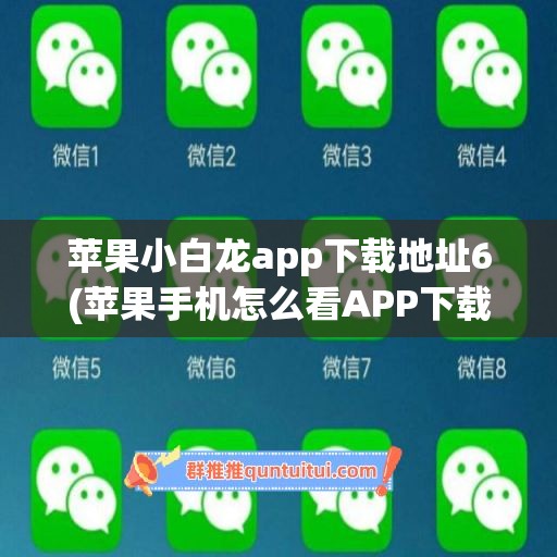 苹果小白龙app下载地址6(苹果手机怎么看APP下载地址)