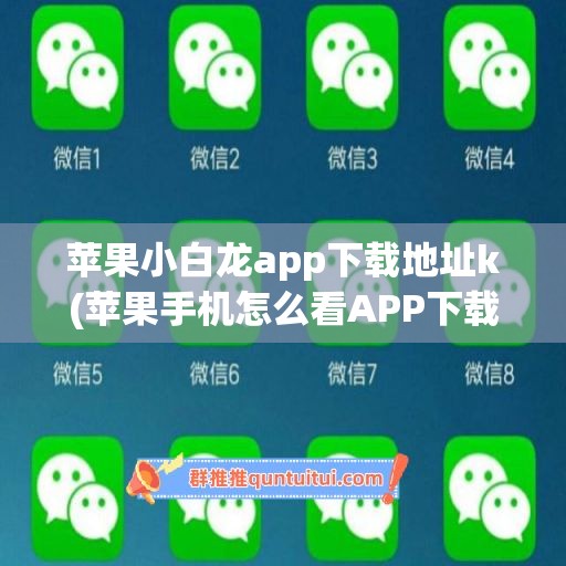 苹果小白龙app下载地址k(苹果手机怎么看APP下载地址)