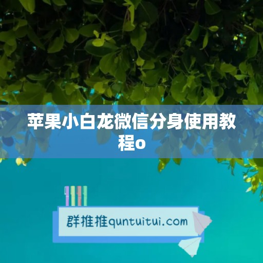 苹果小白龙微信分身使用教程o